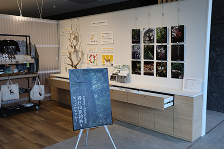 鹿サポーターズクラブ　画像2