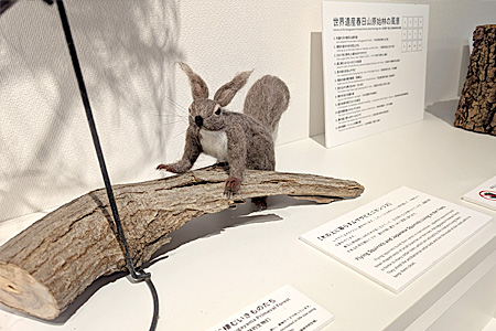 鹿サポーターズクラブ　画像4