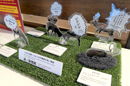 鹿サポーターズクラブ　画像5