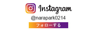 インスタグラム